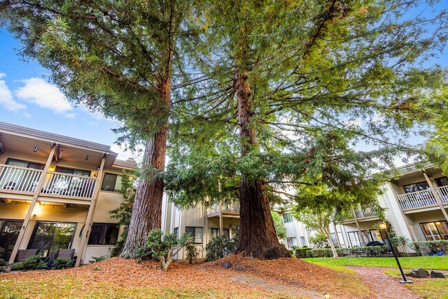 Building Photo - 50 Horgan Ave