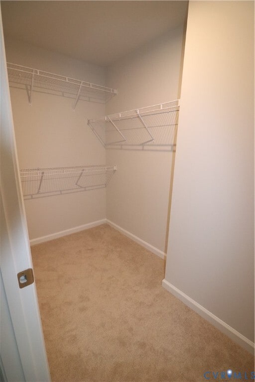 Building Photo - 419 Burden Dr