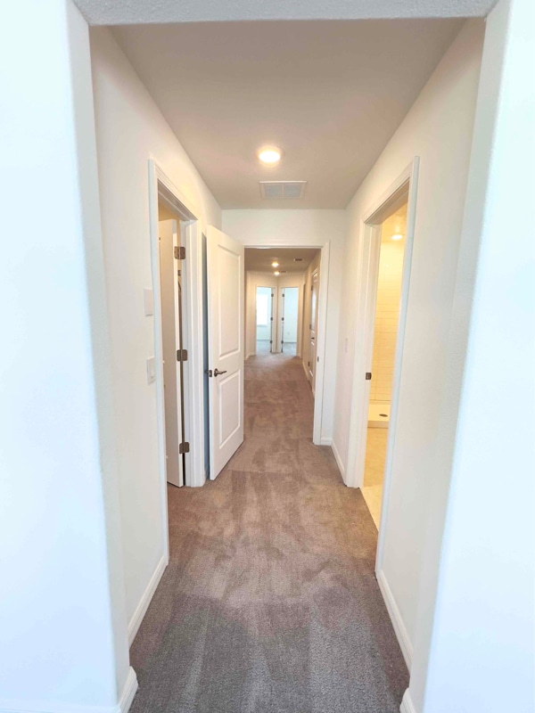 Building Photo - 32201 Powderpuff Mimosa Dr