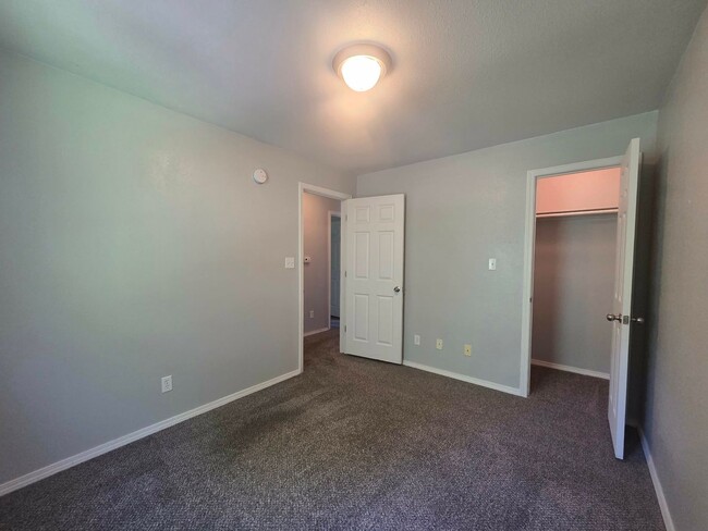 Building Photo - 906 Whitetail Ct