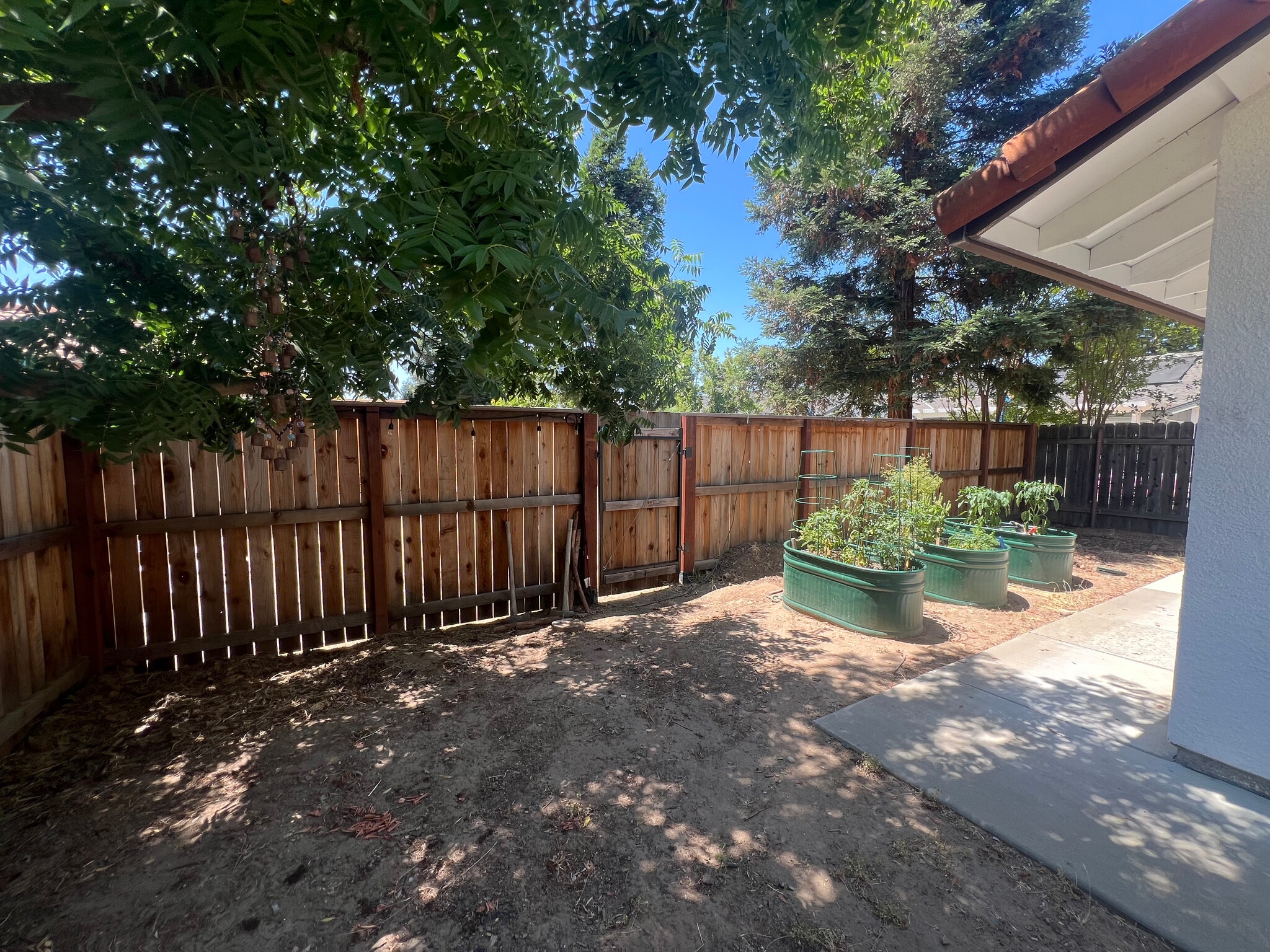 Yard (Full garden Included) - 416 Crow Canyon Dr