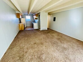 Building Photo - Studio Apartment in Denver - Ground Level - Move in Ready!