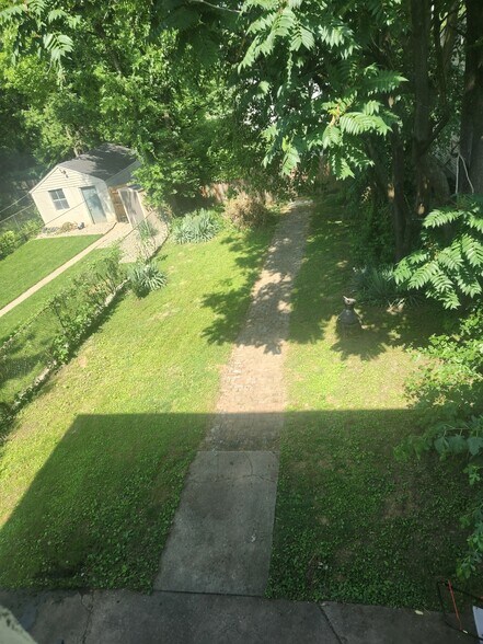 Back Yard - 1036 S 7th St
