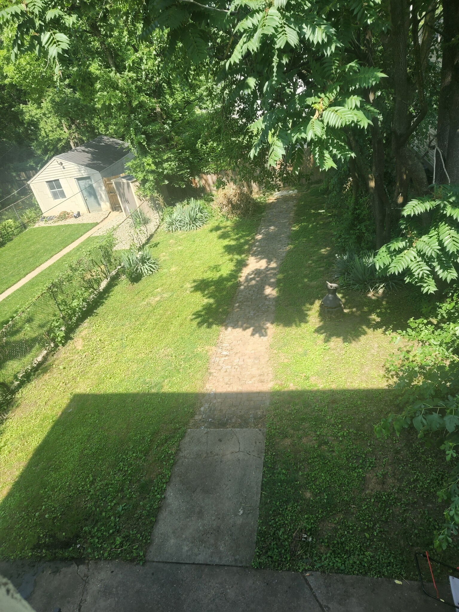Back Yard - 1036 S 7th St
