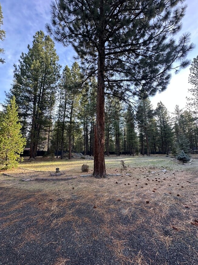 Building Photo - Adorable home in La Pine area, 1.5 acres fully fenced!!