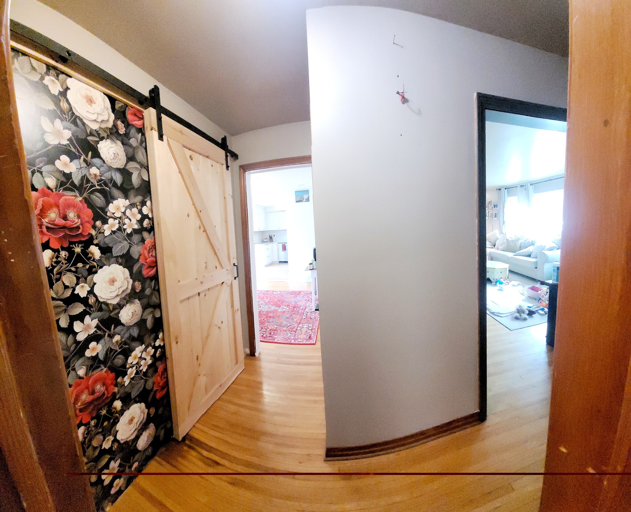 hallway to dining area, bathroom with barn door, and livingy room - 1100 Orchard Park Rd
