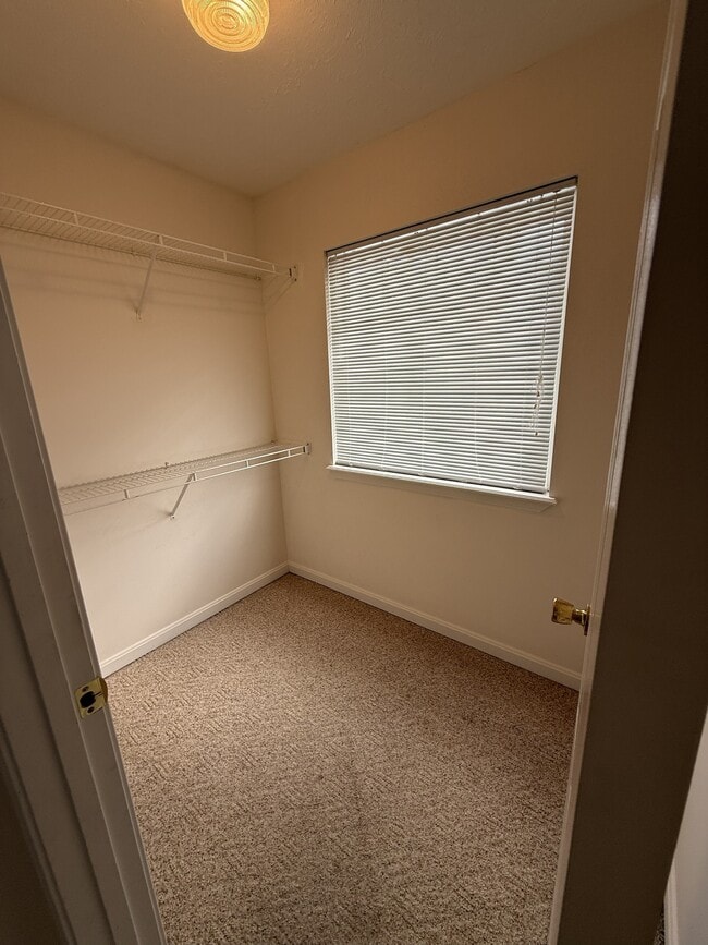 Building Photo - 132 Ash Ct