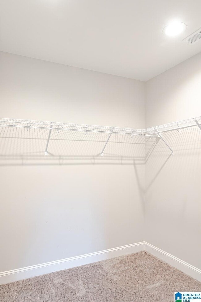 Building Photo - 349 Lionel Allen Wy