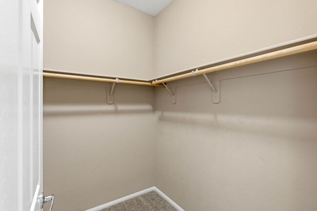 Building Photo - 8123 Mosaic Sunrise Ln