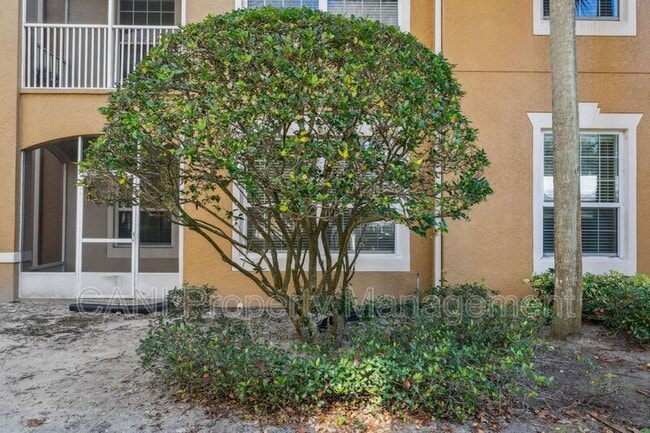 Building Photo - 2484 San Tecla St