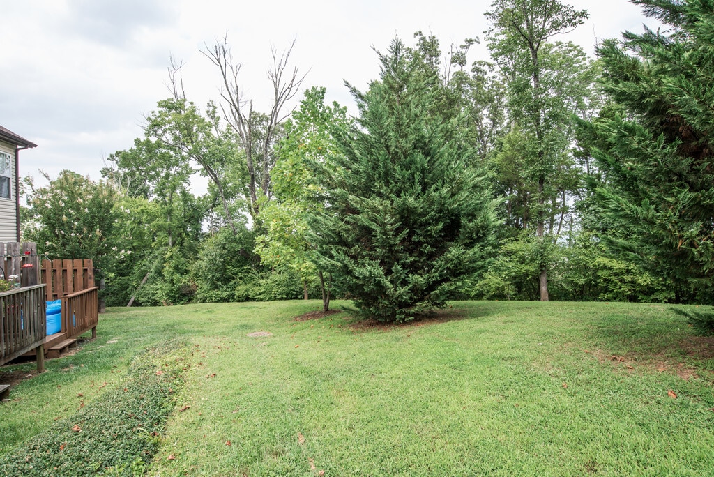 Building Photo - 545 Swiss Ave