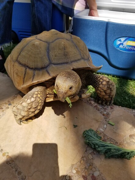 Building Photo - 1025 S Sherbourne Dr