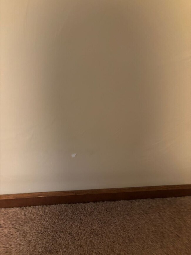 Building Photo - FIRST MONTH'S RENT FREE! New lower rent $1850