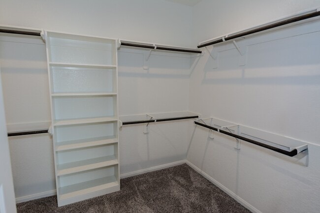 Building Photo - 4120 Split Ivy Dr