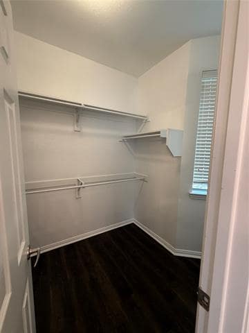 Building Photo - 1016 Grey Fox Dr