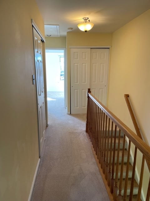 Hallways with two large closets - 44 Ramsgate Ct