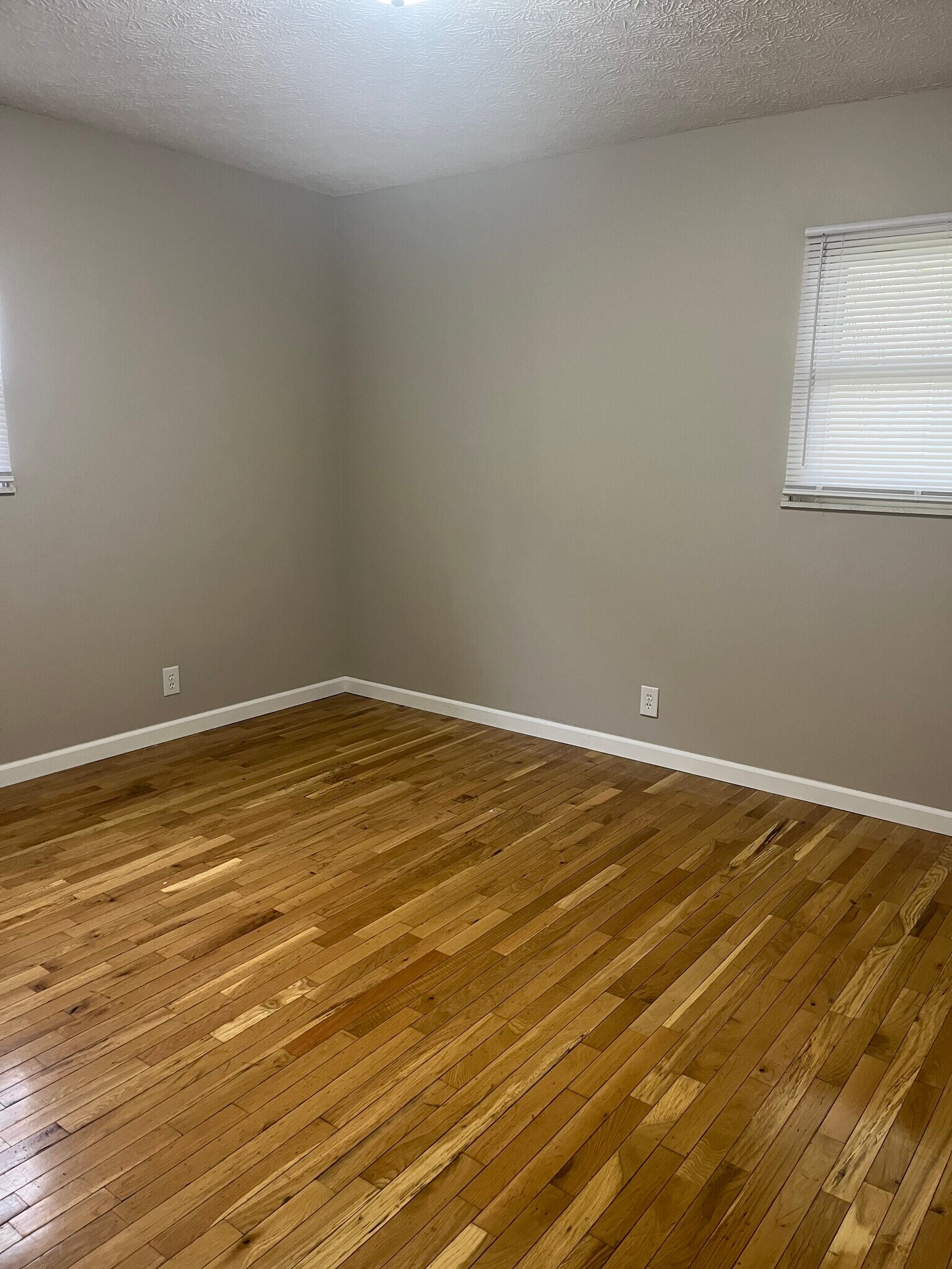 Building Photo - 356 Avonwick Pl