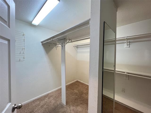 Building Photo - 6151 Alpha Rd