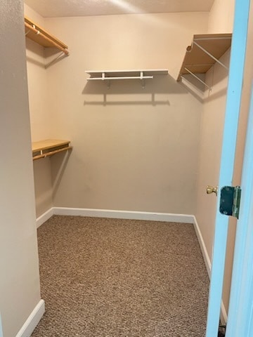 Building Photo - 1229 Port Arthur Terrace