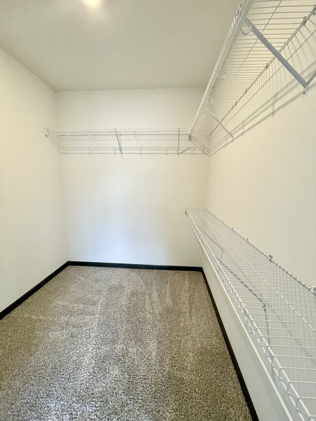 Building Photo - 2871 Spring Rose Cir