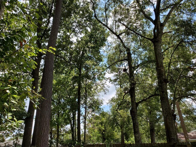 Building Photo - 705 Alabama St