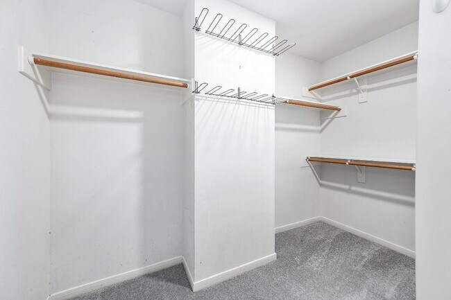 Building Photo - 4502 Park Trail Ln