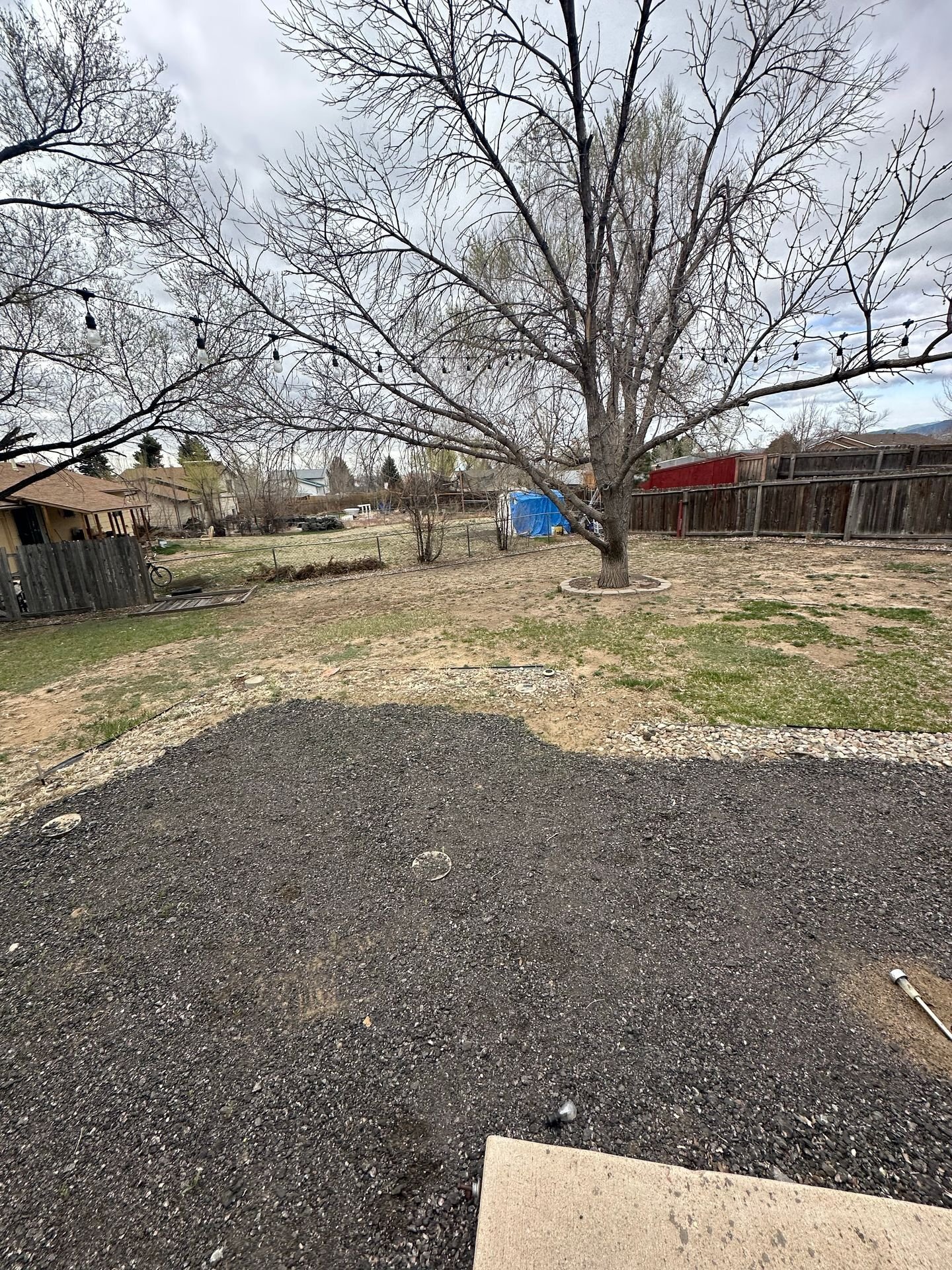 Building Photo - 5145 Alturas Cir