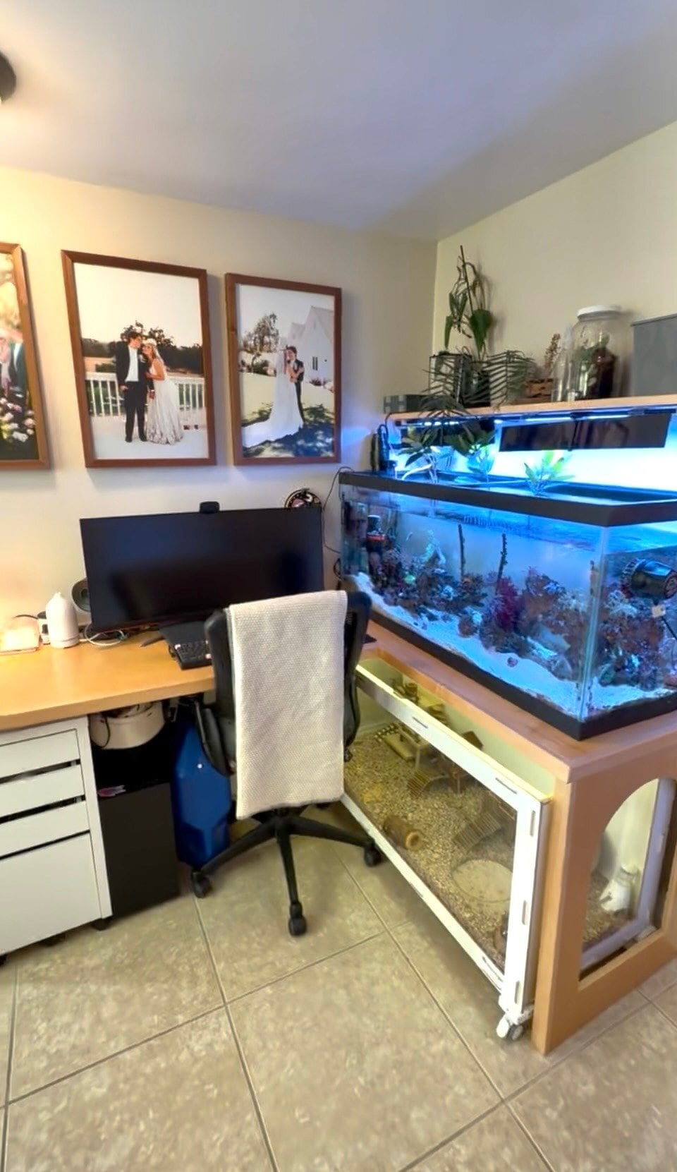 Building Photo - 10352 Cowan Heights Dr