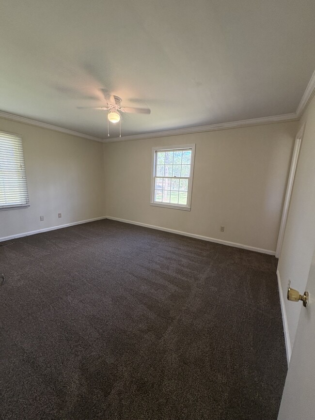 Building Photo - 1705 Alma Pl