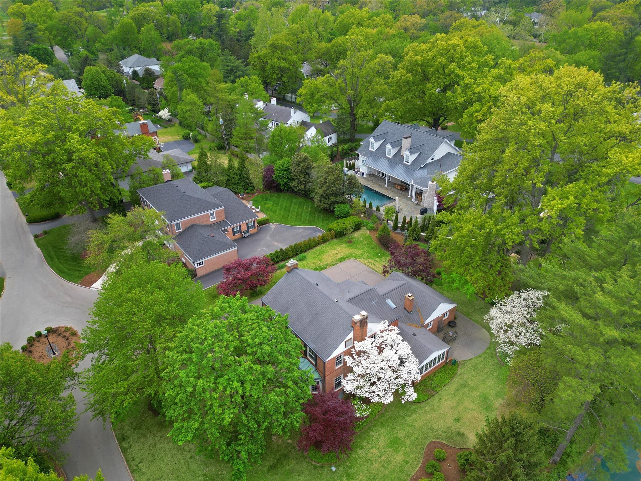 Building Photo - 15 Brazillian Ct