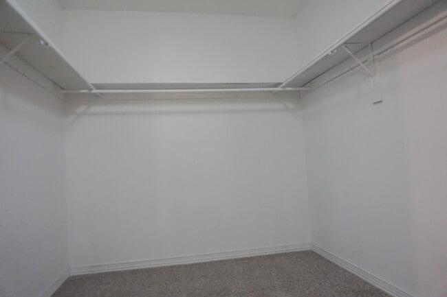 Building Photo - 111 Palmetto Dr