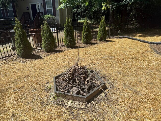 Building Photo - 1502 Hollywood St