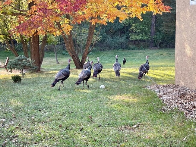 Building Photo - 5559 Turtle Lake Rd