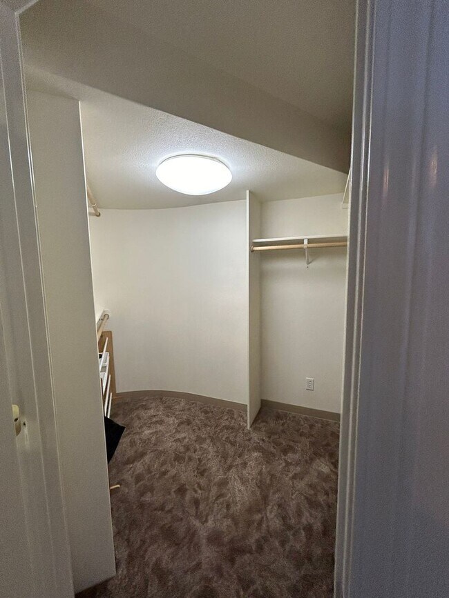 Building Photo - Spacious Daylight Apartment in Hamilton