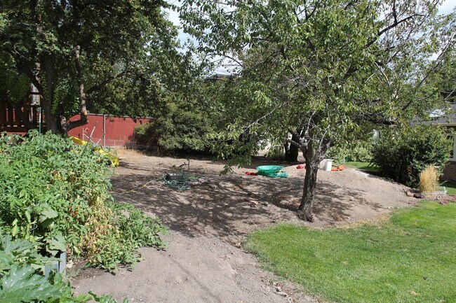 Building Photo - Beautiful Large Home in the Avenues