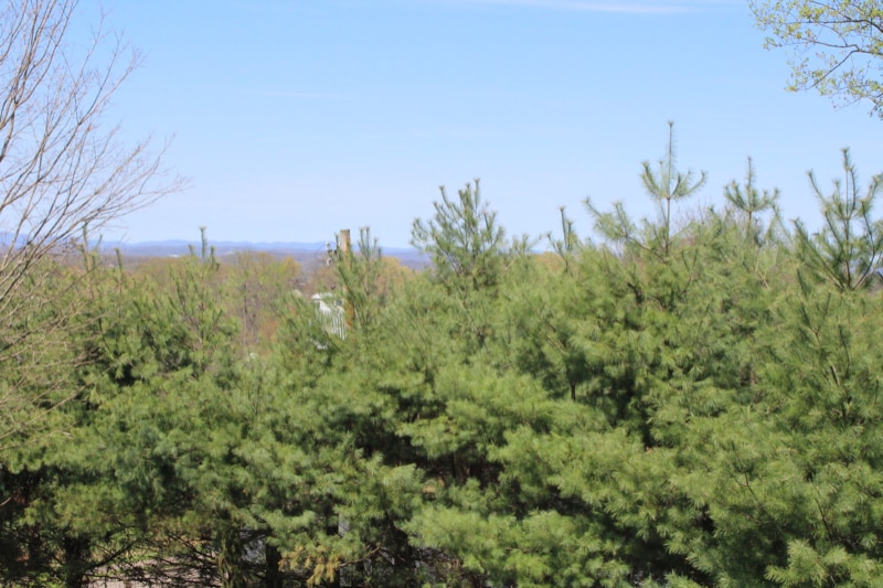 Building Photo - 308 Car-Mol Dr