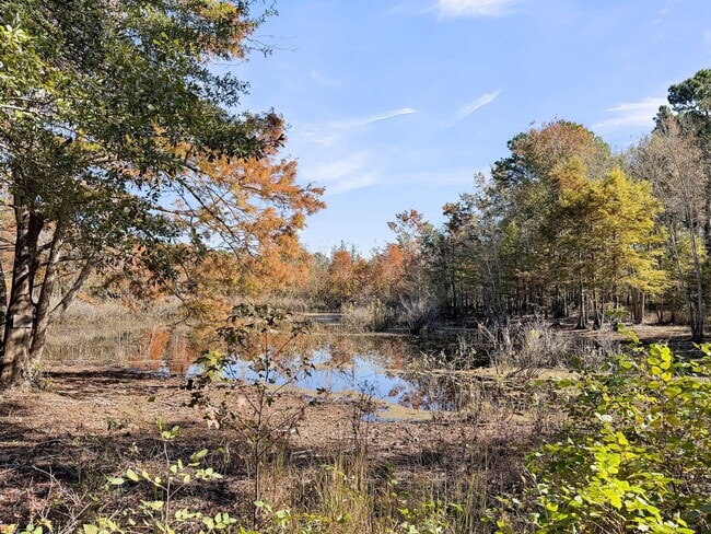 Building Photo - Tranquil Country Living on 2+ Acres — Spac...