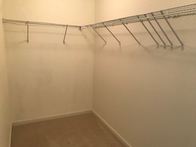 Large Walk in Closet with Storage area - 1944 Asheville Dr