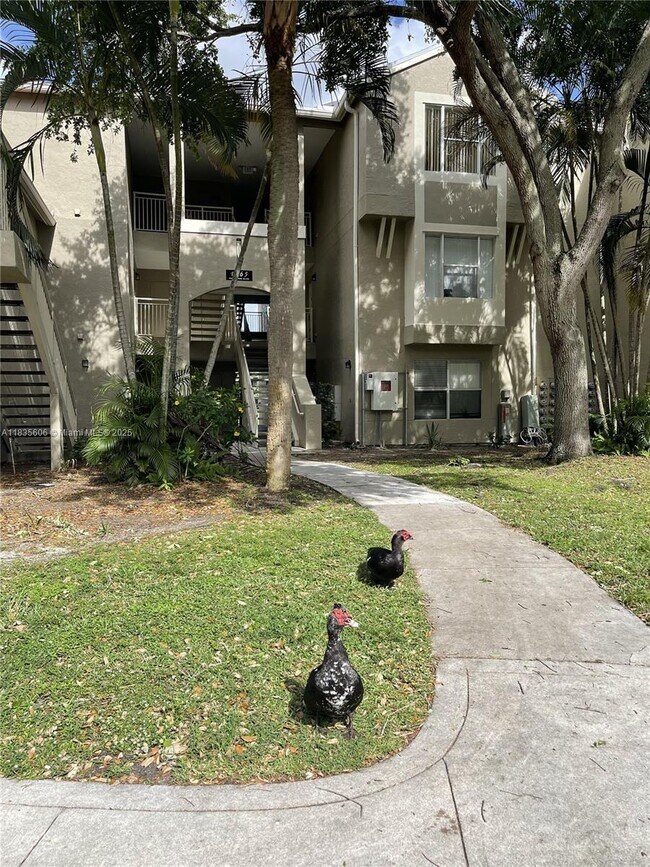 Building Photo - 1865 Palm Cove Blvd