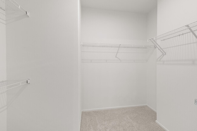 Building Photo - 78685 Rockwell Cir