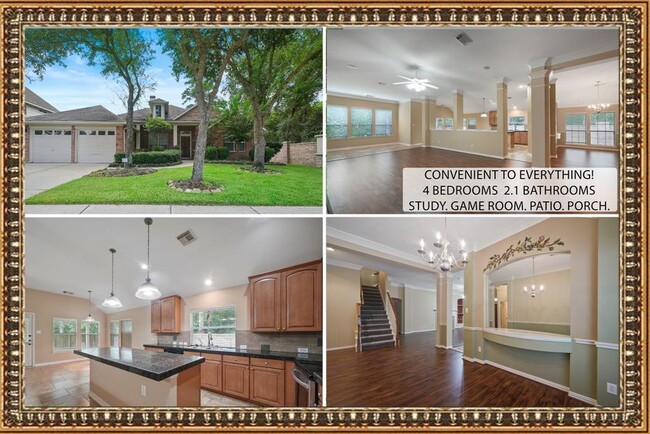 Primary Photo - 13019 Coopers Hawk Dr