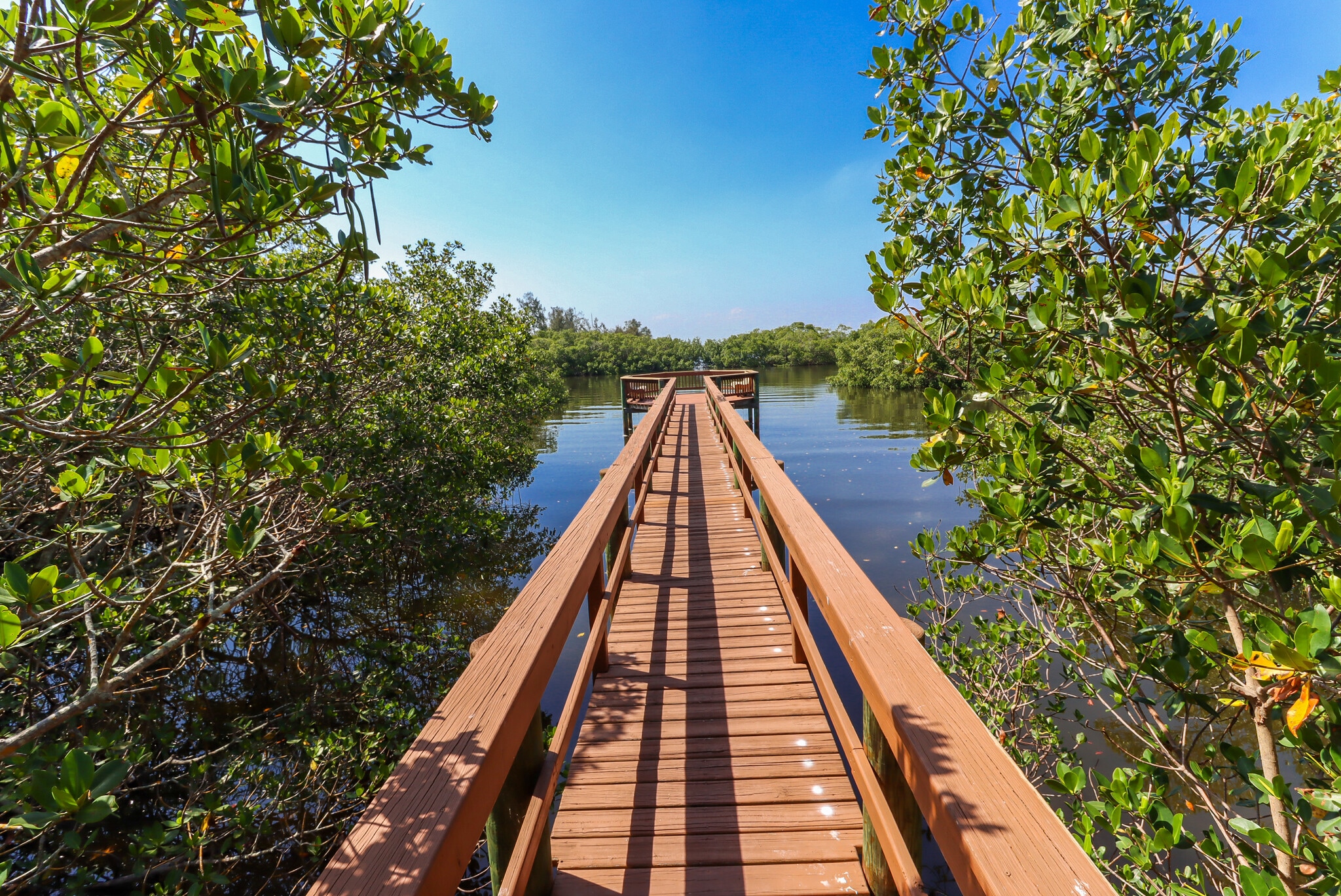 nature boardwalk - 3409 10th Ln W
