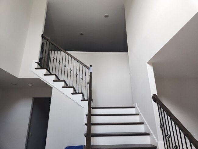 Building Photo - 271 Chestnut Dr