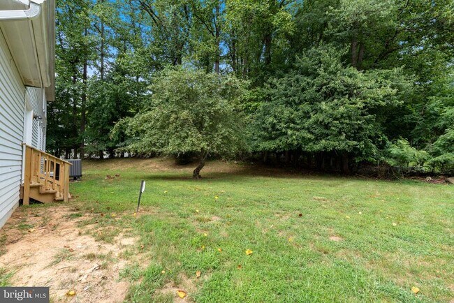 Building Photo - 10006 Bald Hill Rd
