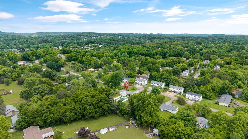 Drone view - 1225 Ferd Hickey Rd