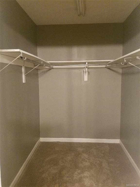 Building Photo - 1811 Young Farm Rd