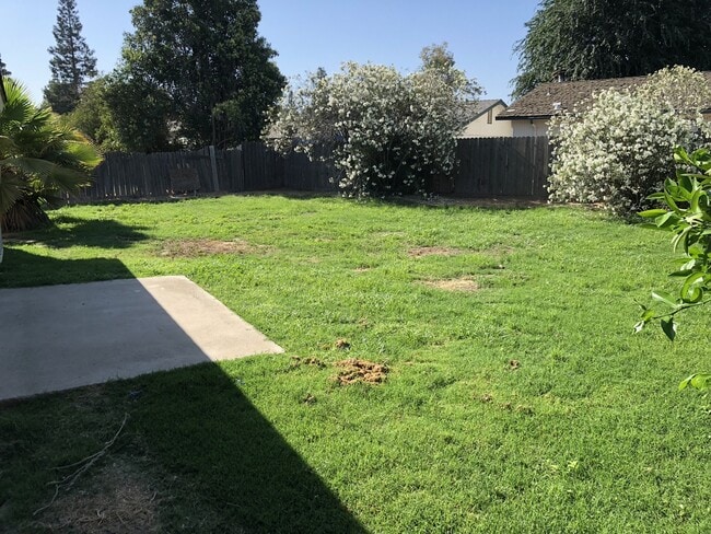 Building Photo - 1715 E Mary Ave