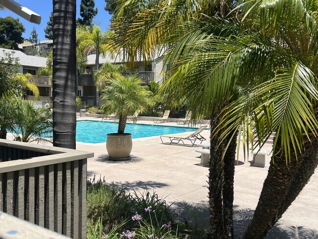 Building Photo - 8525 Villa La Jolla Dr