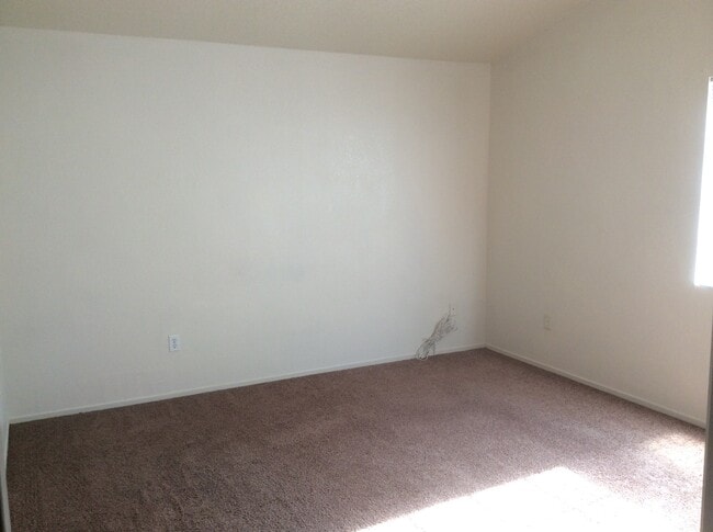 Building Photo - 7314 Sandrinilla St