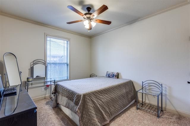 Building Photo - 256 Briarleaf Cir